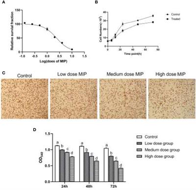 MIP From Legionella pneumophila Influences the Phagocytosis and Chemotaxis of RAW264.7 Macrophages by Regulating the lncRNA GAS5/miR-21/SOCS6 Axis